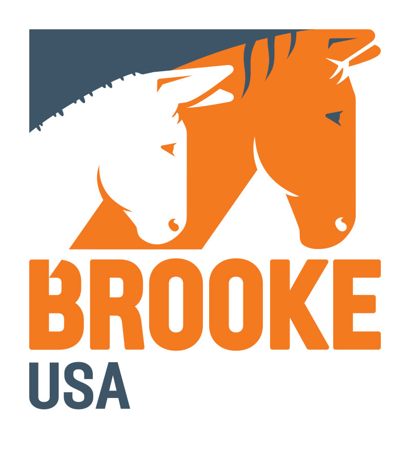 Brooke USA Logo
