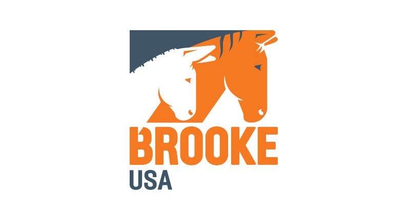 Brooke USA logo