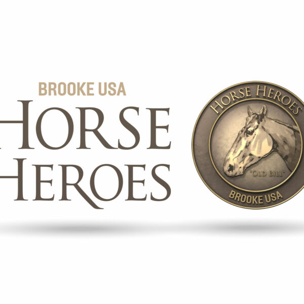 Horse Heroes Campaign Promo